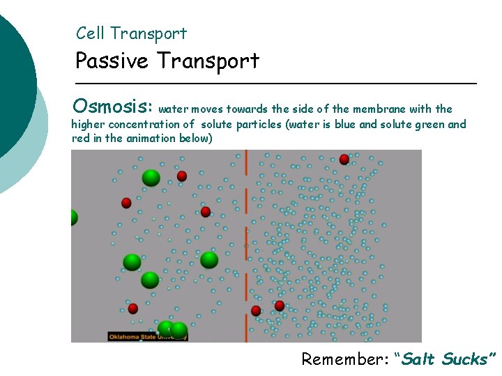 Cell Transport Passive Transport Osmosis: water moves towards the side of the membrane with