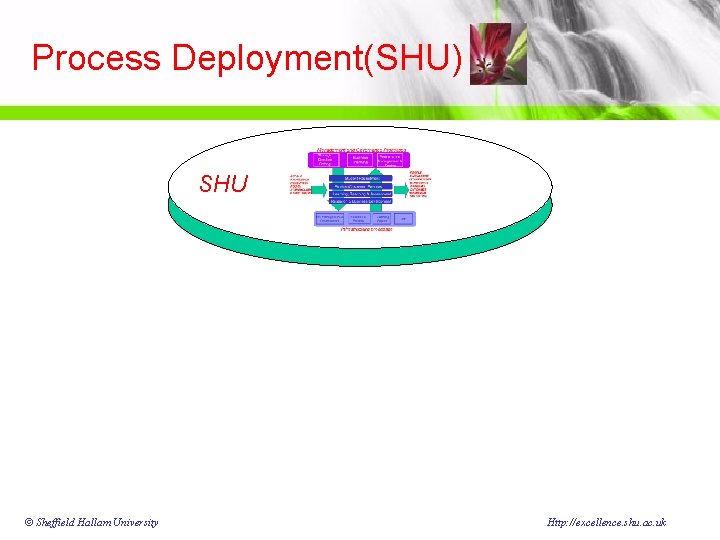 Process Deployment(SHU) SHU © Sheffield Hallam University Http: //excellence. shu. ac. uk 