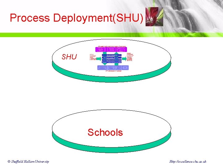 Process Deployment(SHU) SHU Schools © Sheffield Hallam University Http: //excellence. shu. ac. uk Process Deployment(SHU) SHU Schools © Sheffield Hallam University Http: //excellence. shu. ac. uk