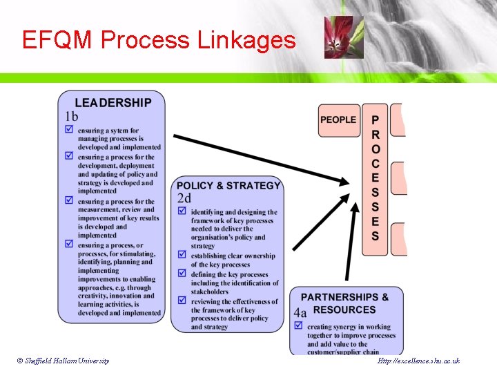 EFQM Process Linkages © Sheffield Hallam University Http: //excellence. shu. ac. uk 