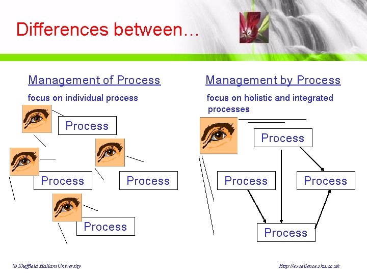 Differences between… Management of Process Management by Process focus on individual process focus on