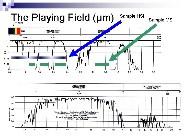 The Playing Field (μm) Sample HSI Sample MSI 