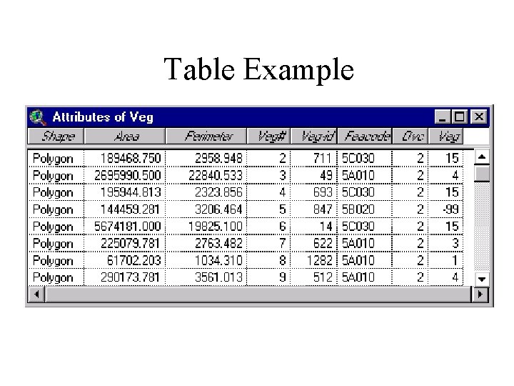 Table Example 