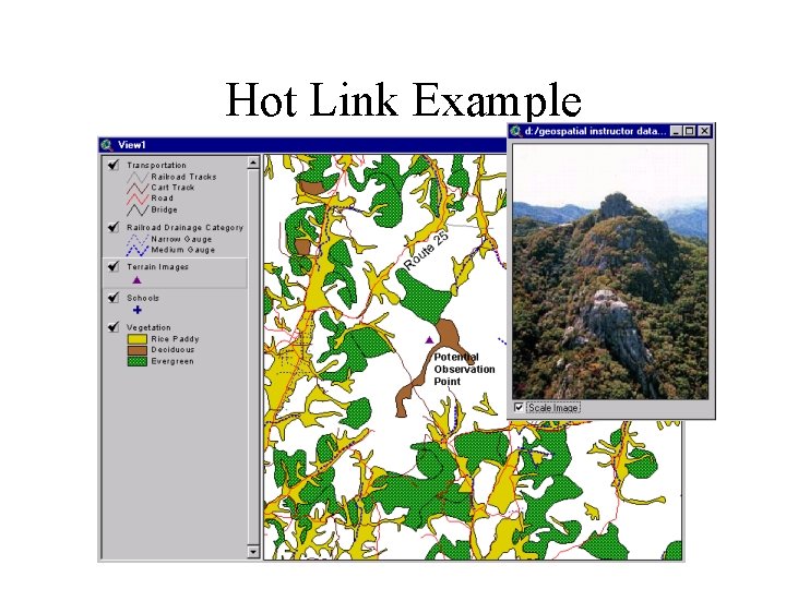 Hot Link Example 