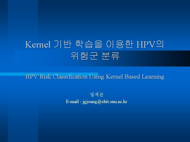 Kernel 기반 학습을 이용한 HPV의 위험군 분류 HPV Risk Classification Using Kernel Based Learning