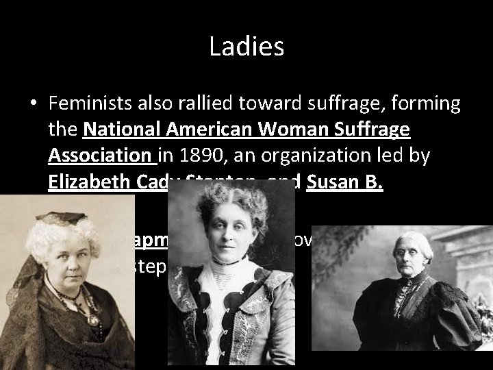 Ladies • Feminists also rallied toward suffrage, forming the National American Woman Suffrage Association