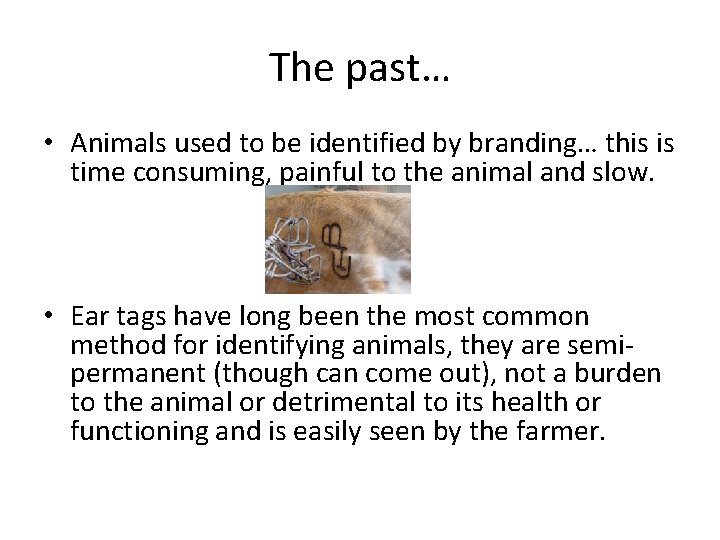 The past… • Animals used to be identified by branding… this is time consuming,
