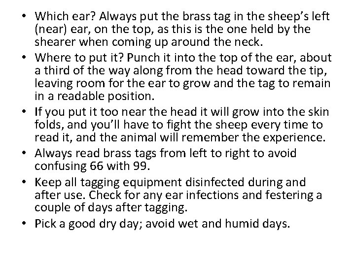  • Which ear? Always put the brass tag in the sheep’s left (near)