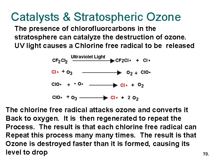 Catalysts & Stratospheric Ozone The presence of chlorofluorcarbons in the stratosphere can catalyze the