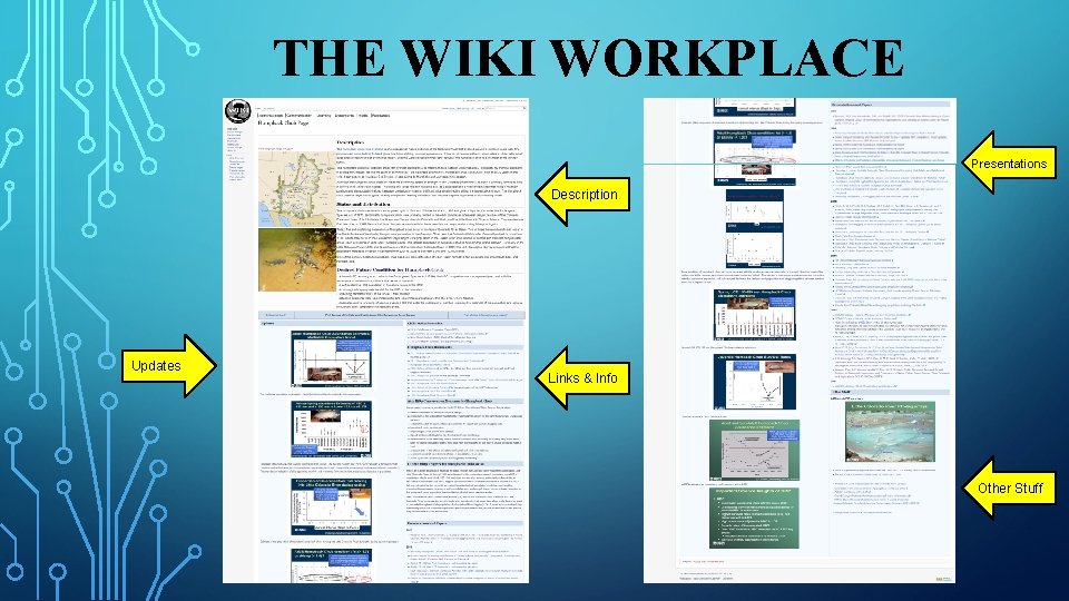 THE WIKI WORKPLACE Presentations Description Updates Links & Info Other Stuff 
