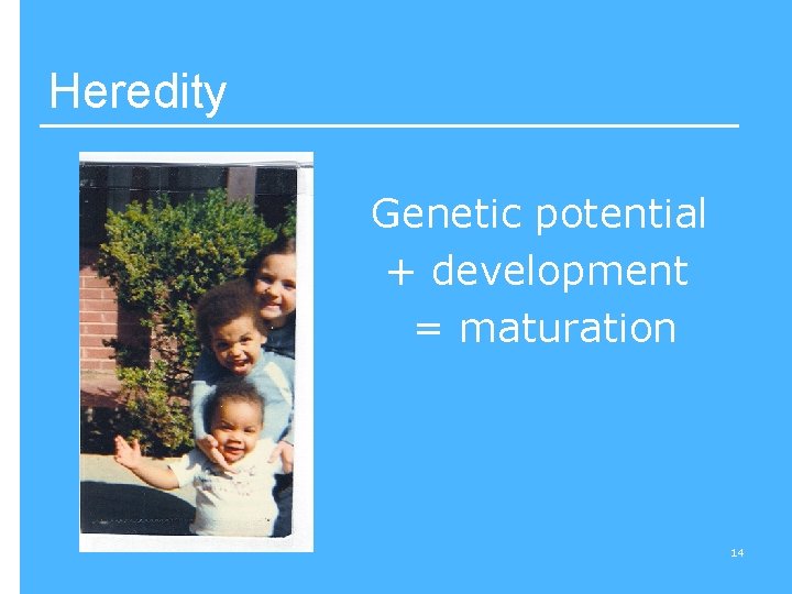 Heredity Genetic potential + development = maturation 14 