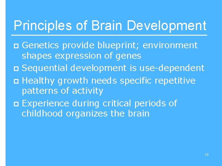 Principles of Brain Development Genetics provide blueprint; environment shapes expression of genes p Sequential