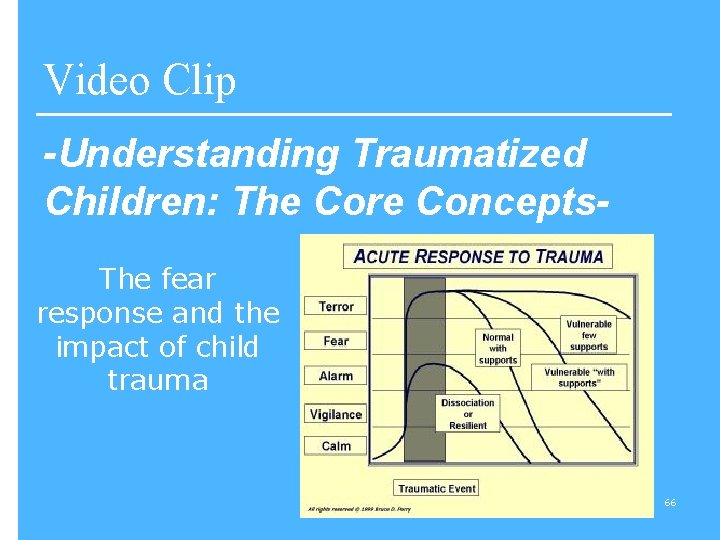 Video Clip -Understanding Traumatized Children: The Core Concepts. The fear response and the impact