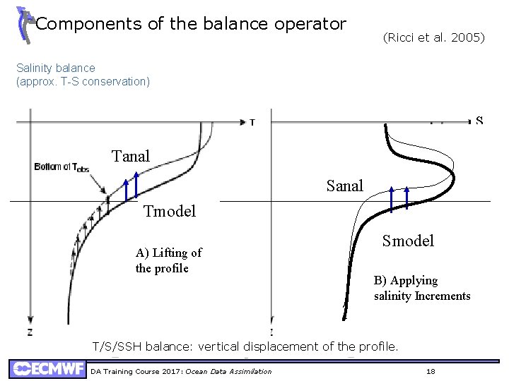 Components of the balance operator (Ricci et al. 2005) Salinity balance (approx. T-S conservation)