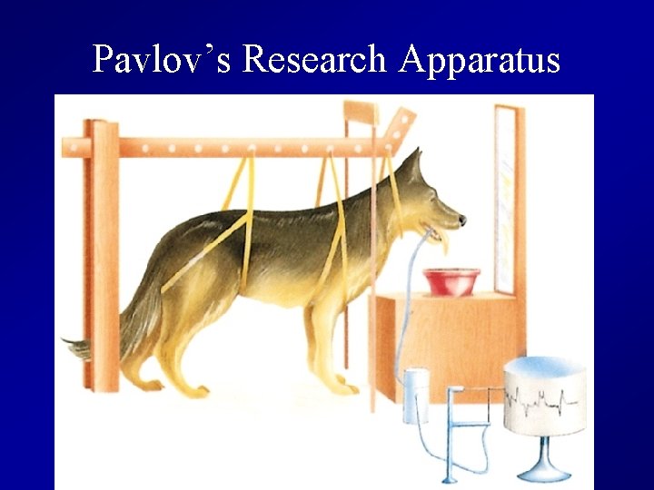 Pavlov’s Research Apparatus 