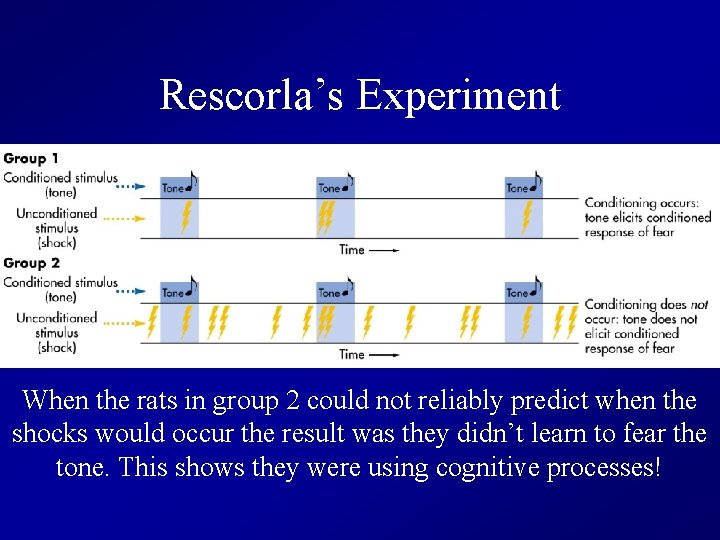 Rescorla’s Experiment When the rats in group 2 could not reliably predict when the