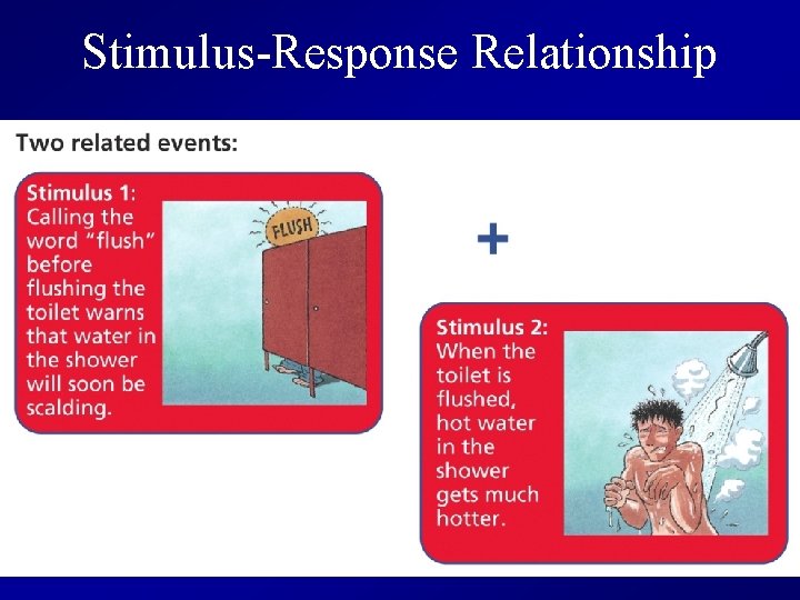 Stimulus-Response Relationship 