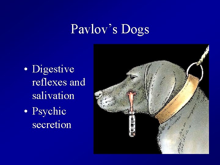 Pavlov’s Dogs • Digestive reflexes and salivation • Psychic secretion 