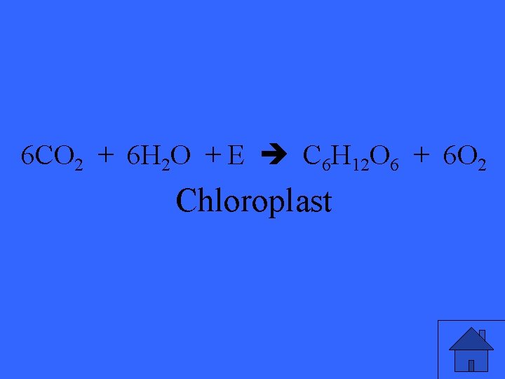 6 CO 2 + 6 H 2 O + E C 6 H 12