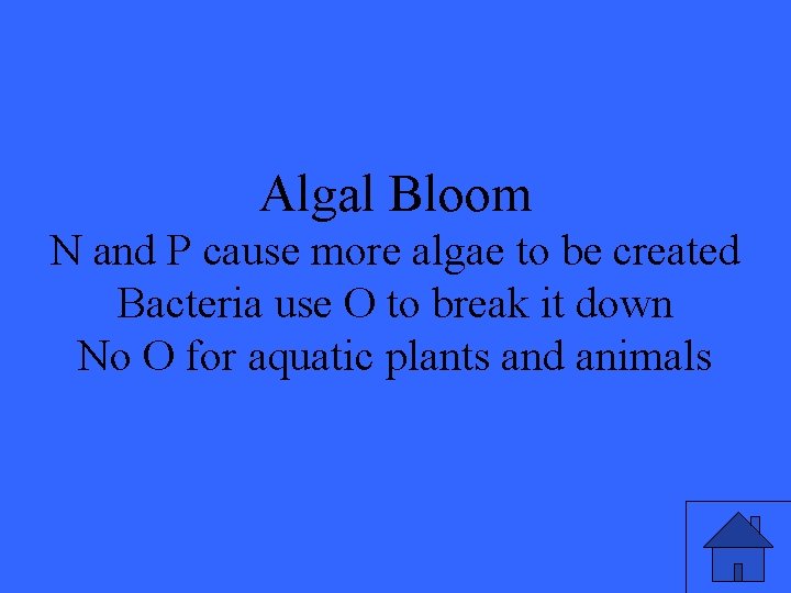 Algal Bloom N and P cause more algae to be created Bacteria use O