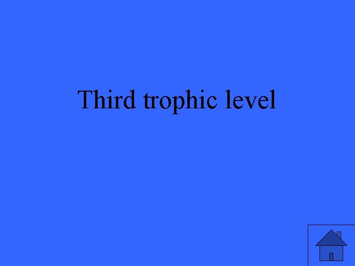 Third trophic level 