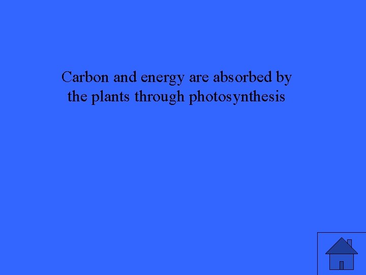 Carbon and energy are absorbed by the plants through photosynthesis 