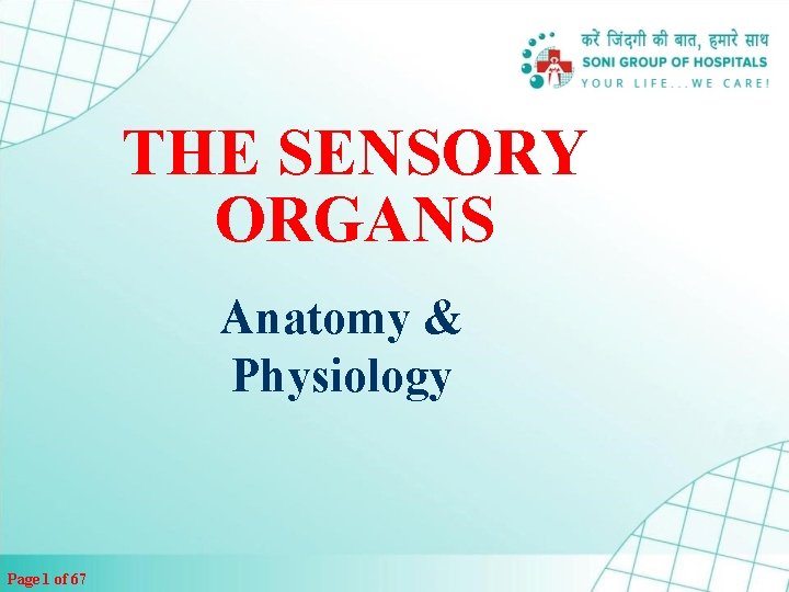 THE SENSORY ORGANS Anatomy & Physiology Page 1 of 67 