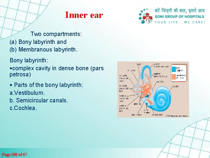 Inner ear Two compartments: (а) Bony labyrinth and (b) Membranous labyrinth. Bony labyrinth: ·complex