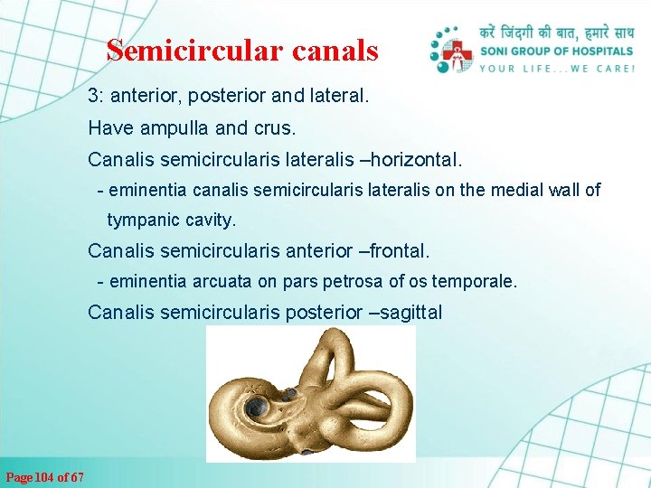 Semicircular canals 3: anterior, posterior and lateral. Have ampulla and crus. Canalis semicircularis lateralis