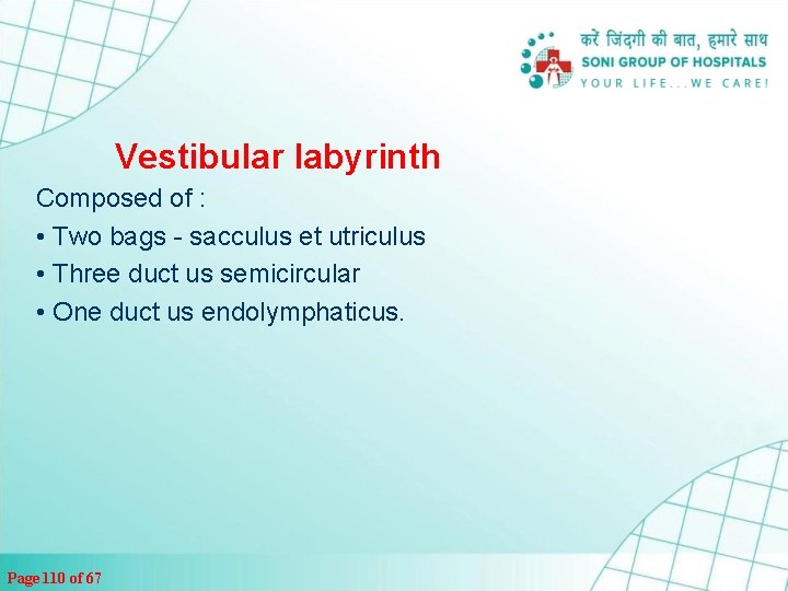Vestibular labyrinth Composed of : • Two bags - sacculus et utriculus • Three