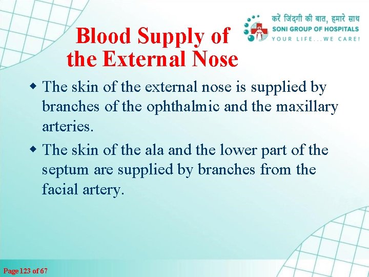 Blood Supply of the External Nose w The skin of the external nose is