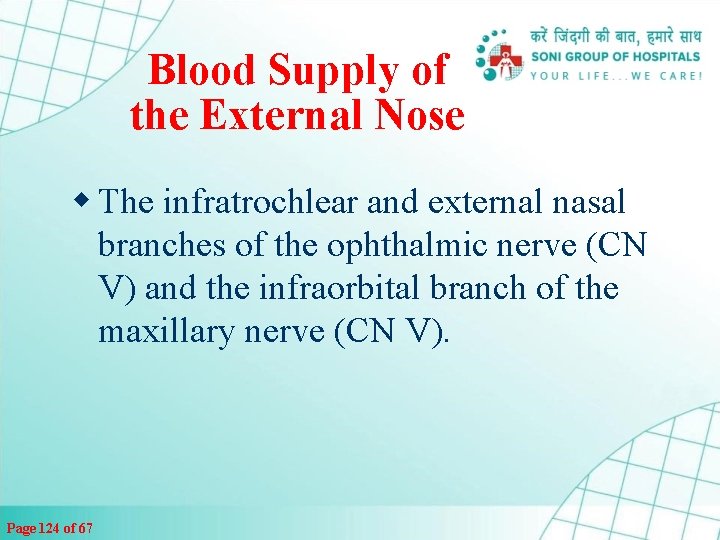 Blood Supply of the External Nose w The infratrochlear and external nasal branches of