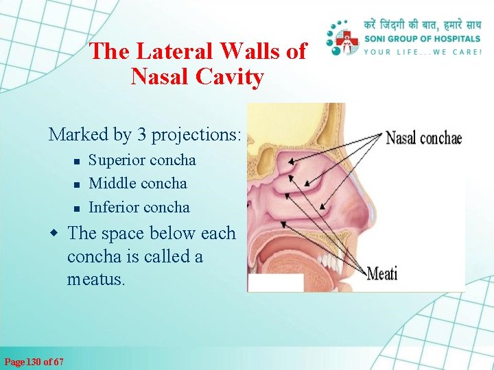 The Lateral Walls of Nasal Cavity Marked by 3 projections: n n n Superior