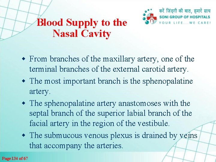 Blood Supply to the Nasal Cavity w From branches of the maxillary artery, one