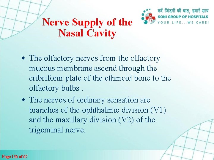 Nerve Supply of the Nasal Cavity w The olfactory nerves from the olfactory mucous