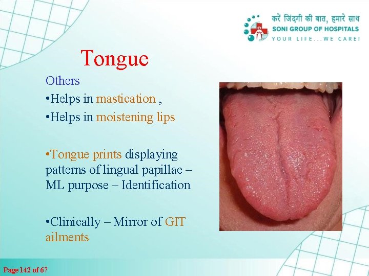 Tongue Others • Helps in mastication , • Helps in moistening lips • Tongue