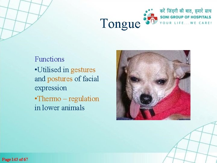 Tongue Functions • Utilised in gestures and postures of facial expression • Thermo –