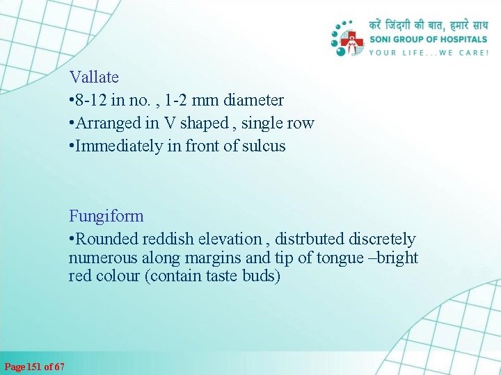 Vallate • 8 -12 in no. , 1 -2 mm diameter • Arranged in