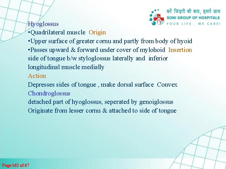 Hyoglossus • Quadrilateral muscle Origin • Upper surface of greater cornu and partly from