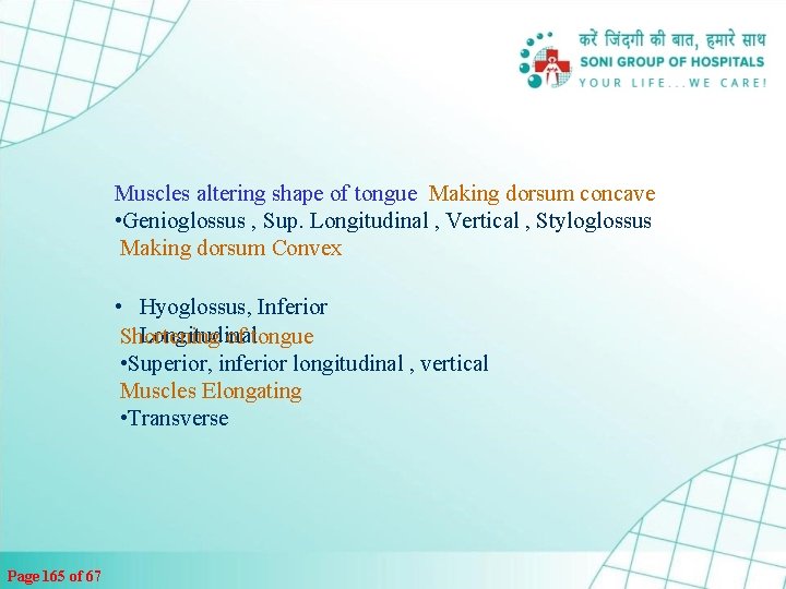 Muscles altering shape of tongue Making dorsum concave • Genioglossus , Sup. Longitudinal ,