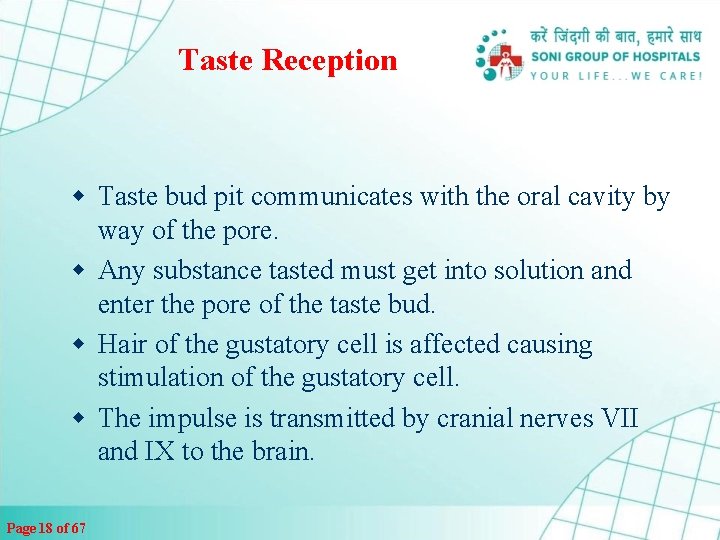 Taste Reception w Taste bud pit communicates with the oral cavity by way of