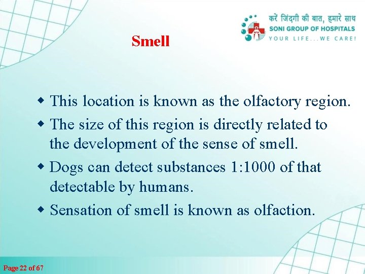 Smell w This location is known as the olfactory region. w The size of