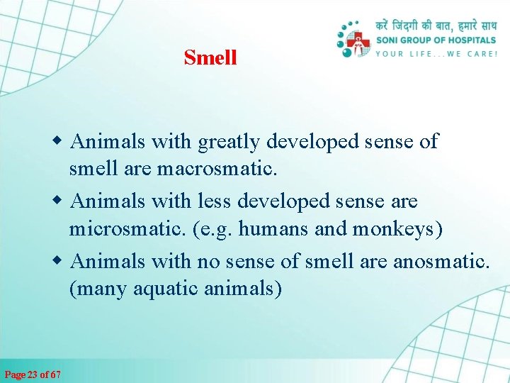 Smell w Animals with greatly developed sense of smell are macrosmatic. w Animals with