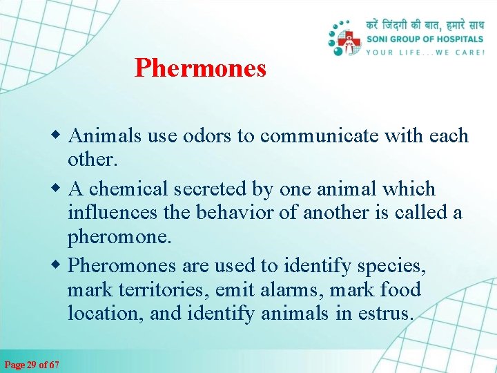Phermones w Animals use odors to communicate with each other. w A chemical secreted