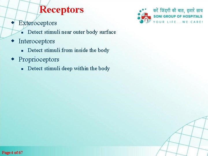 Receptors w Exteroceptors n Detect stimuli near outer body surface w Interoceptors n Detect