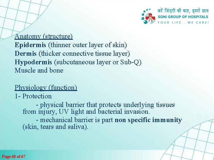 Anatomy (structure) Epidermis (thinner outer layer of skin) Dermis (thicker connective tissue layer) Hypodermis