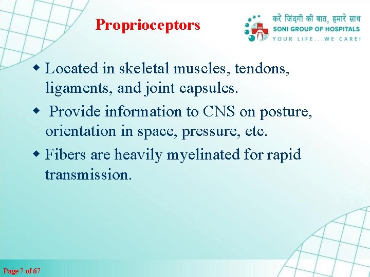 Proprioceptors w Located in skeletal muscles, tendons, ligaments, and joint capsules. w Provide information