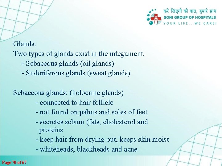 Glands: Two types of glands exist in the integument. - Sebaceous glands (oil glands)