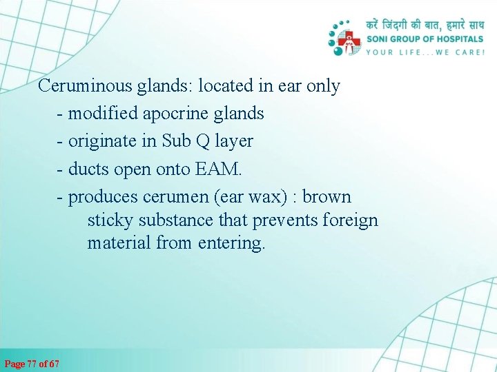 Ceruminous glands: located in ear only - modified apocrine glands - originate in Sub