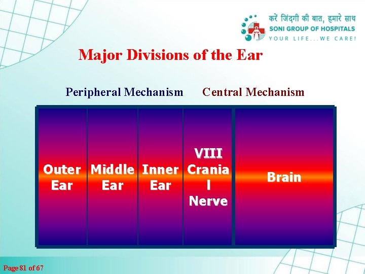 Major Divisions of the Ear Peripheral Mechanism Central Mechanism VIII Outer Middle Inner Crania